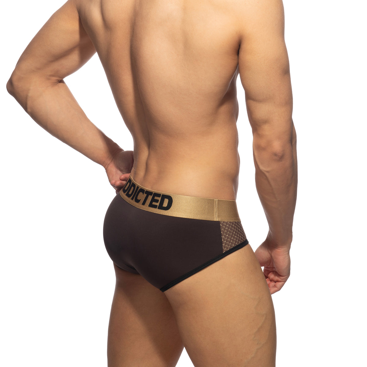 Addicted Luxury Swimderwear Brief Brown AD2218