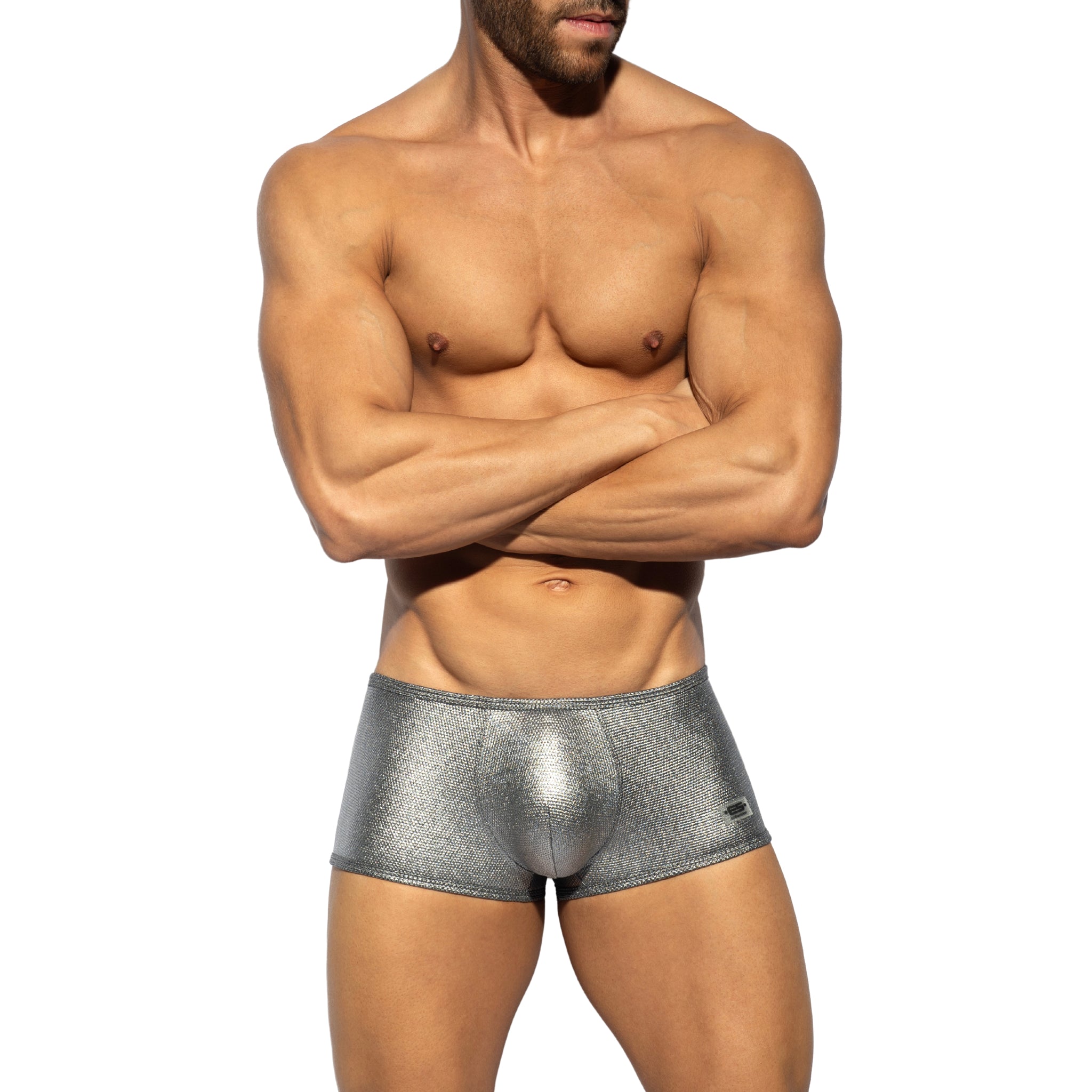 ES Collection Imperial Trunk Silver UN630