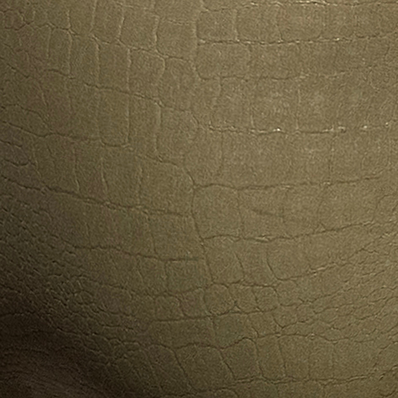 Addicted Reptile Bikini Brief Khaki ADP09