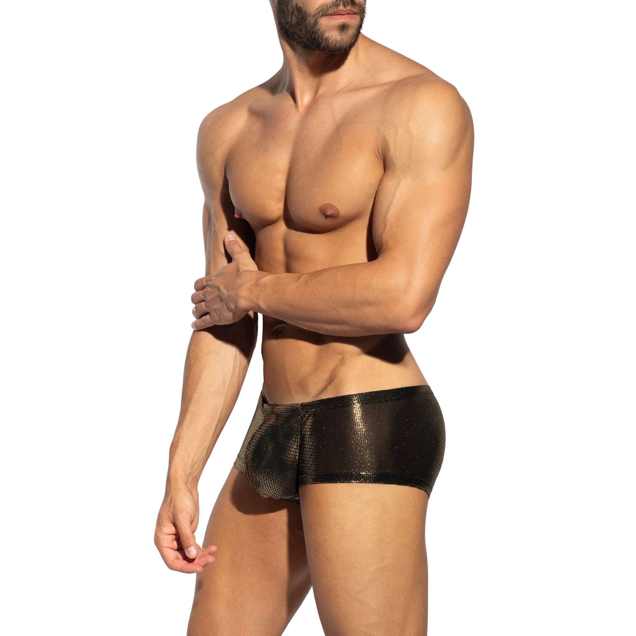 ES Collection Radiant Gold Trunk Black UN635