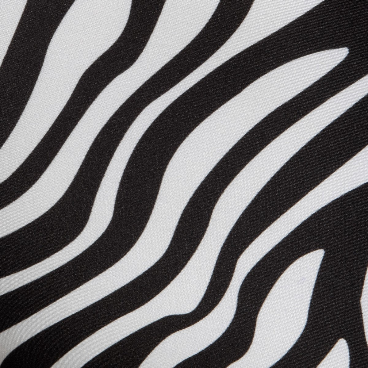 Addicted Zebra Fresh Trunk Black AD2283