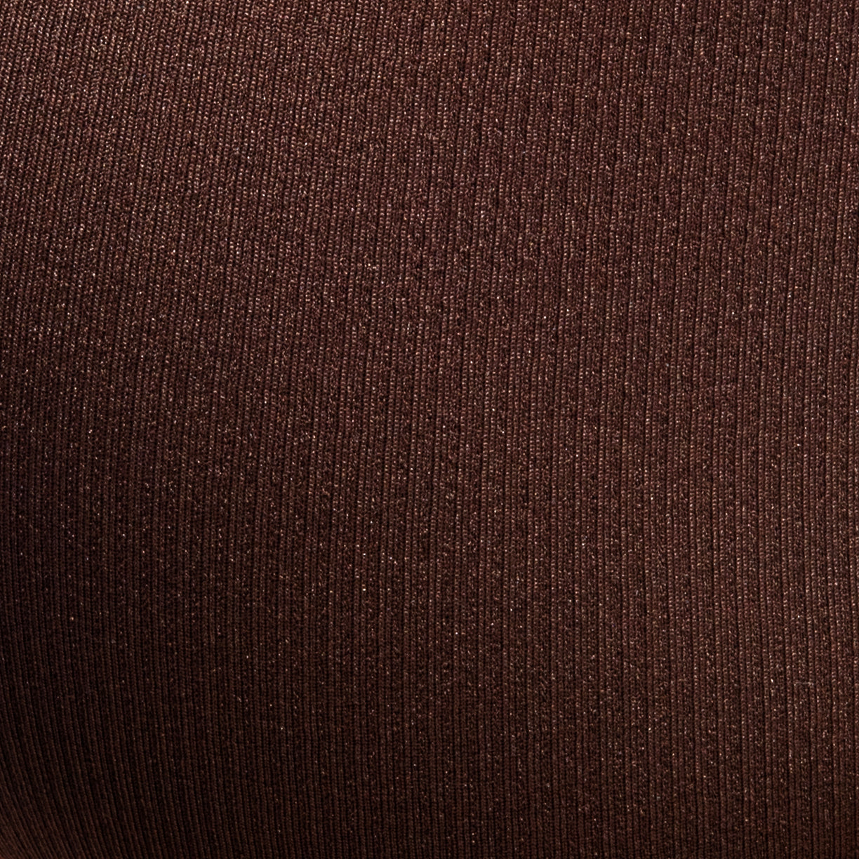 Addicted Basic Rib Swim Brief Brown ADS386