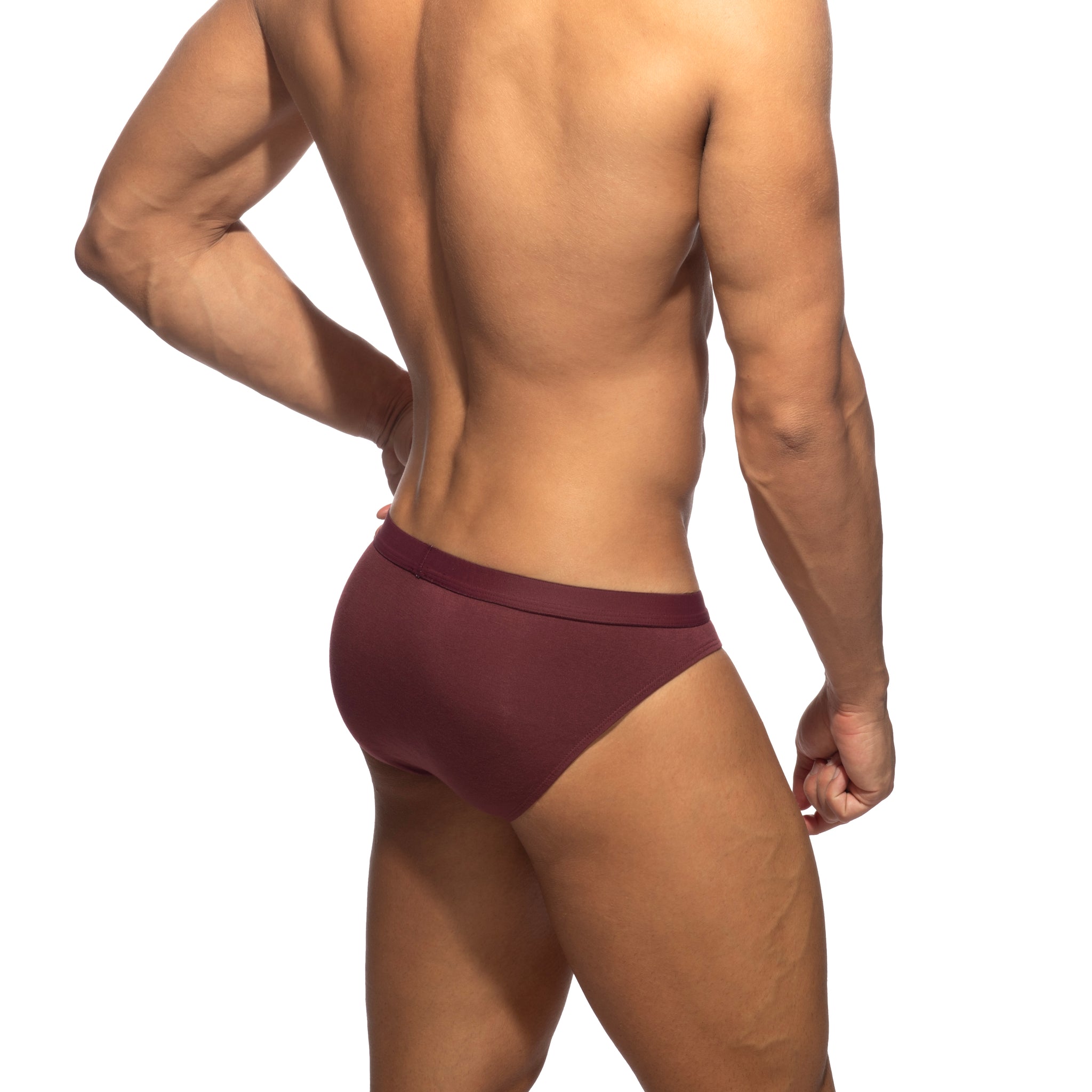 Addicted Bamboo Skin Layer Bikini Brief Garnet AD1495