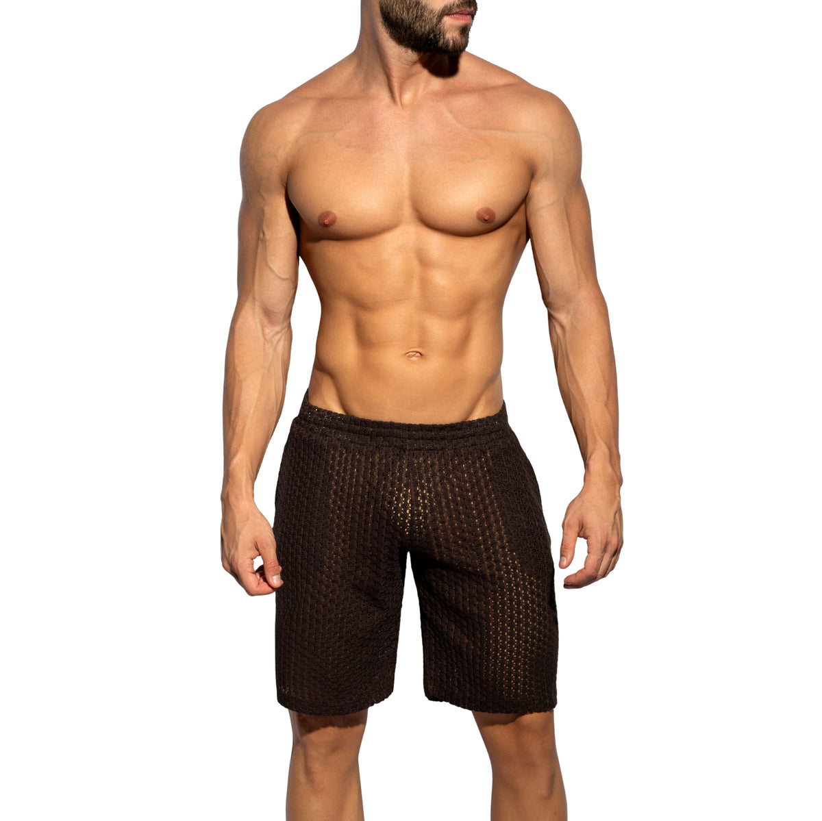ES Collection Eyelet Bermudas Brown SP371