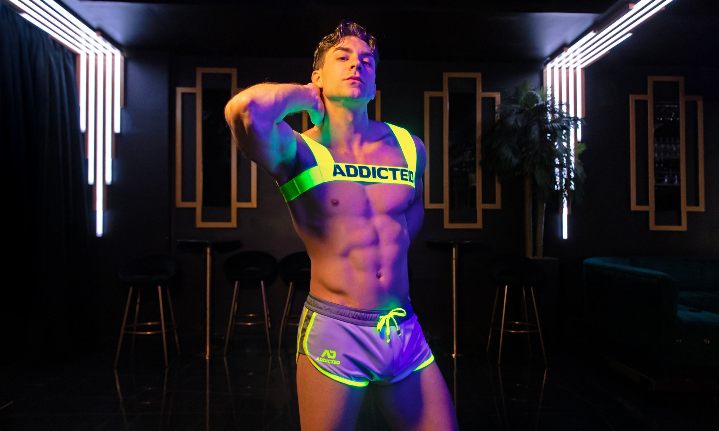 Harnesses