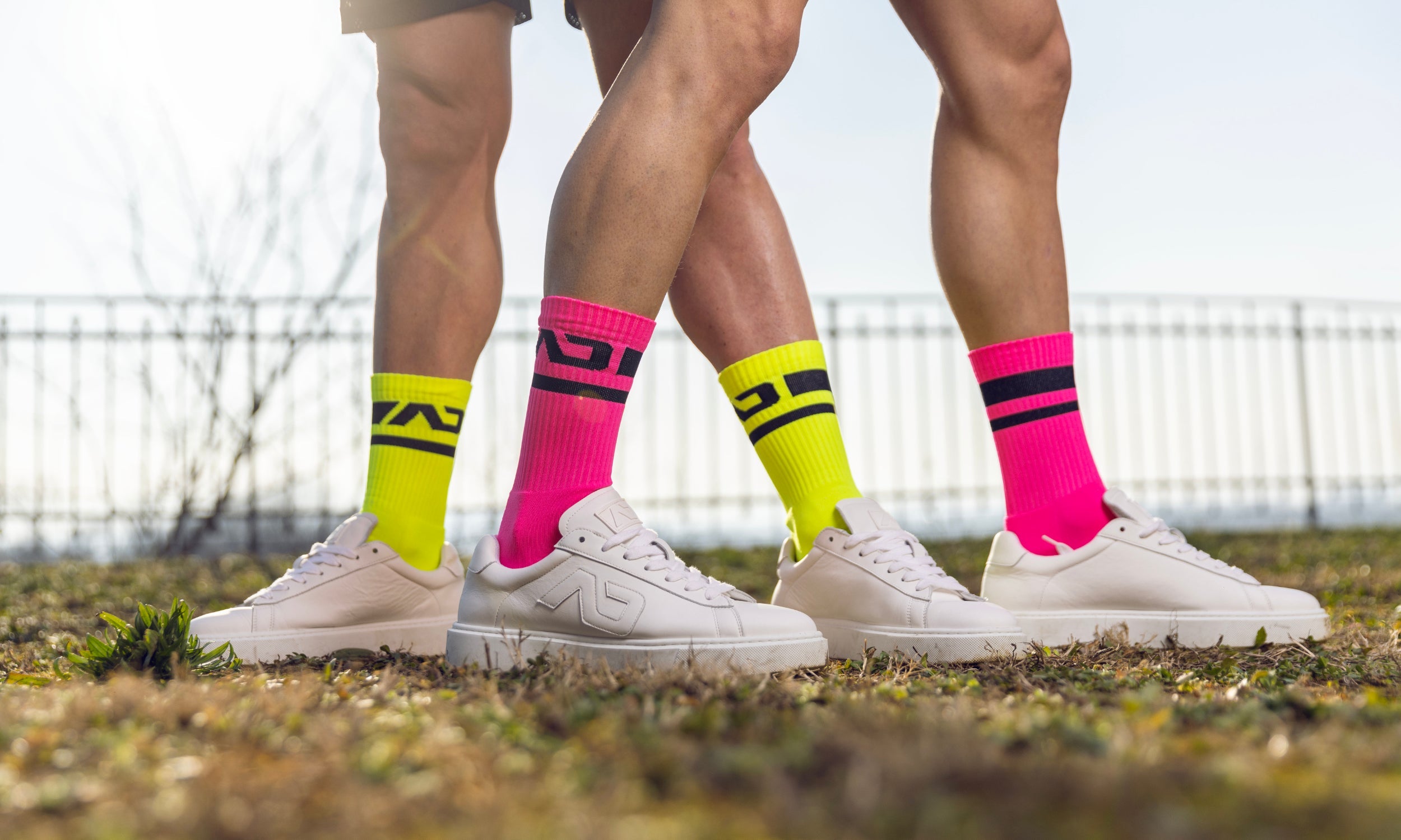 Socks