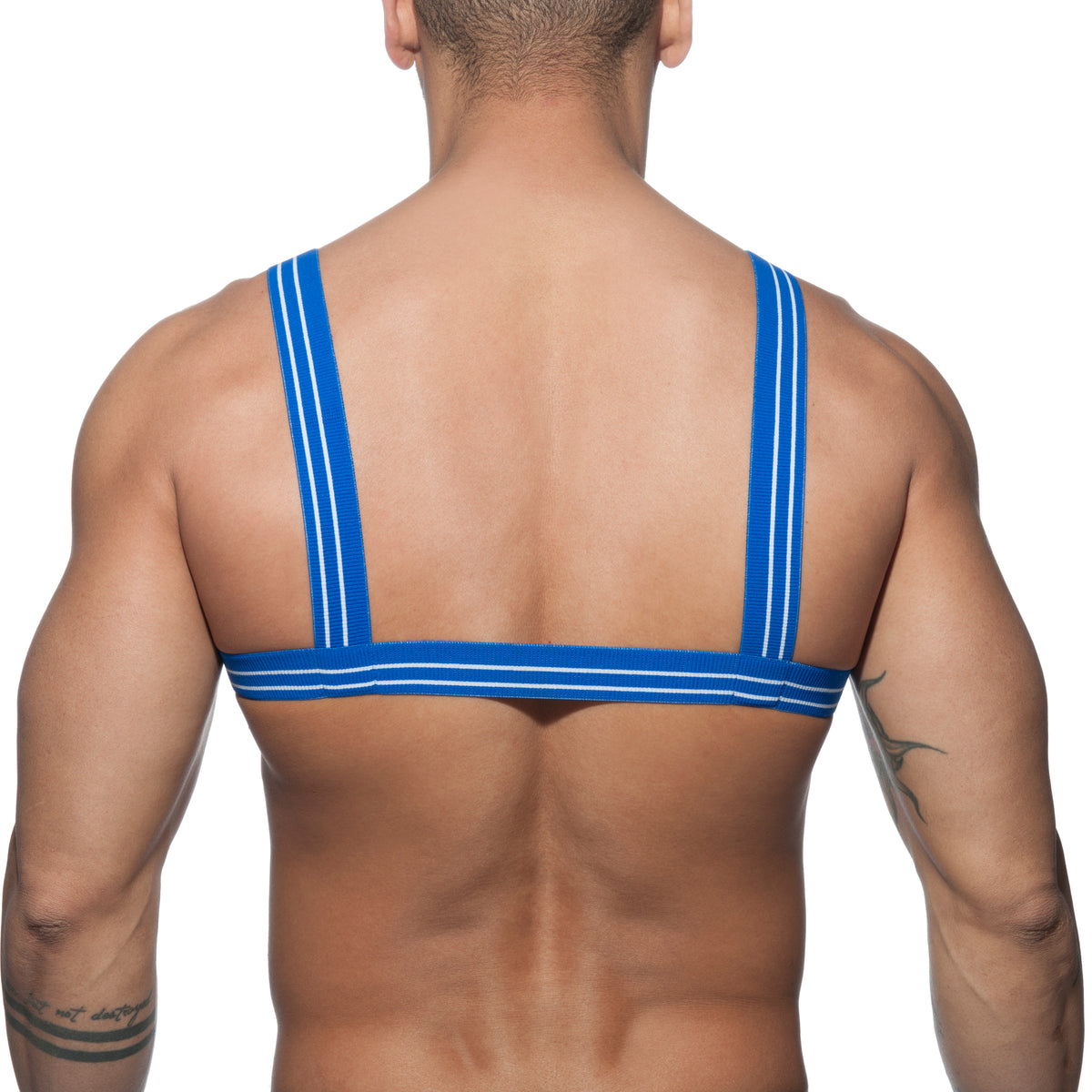 Addicted Stripes Harness Royal Blue AD676