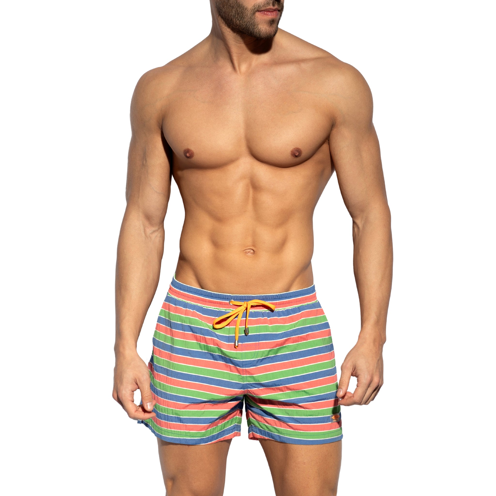 ES Collection Multi Stripes Swim Shorts Green 2505