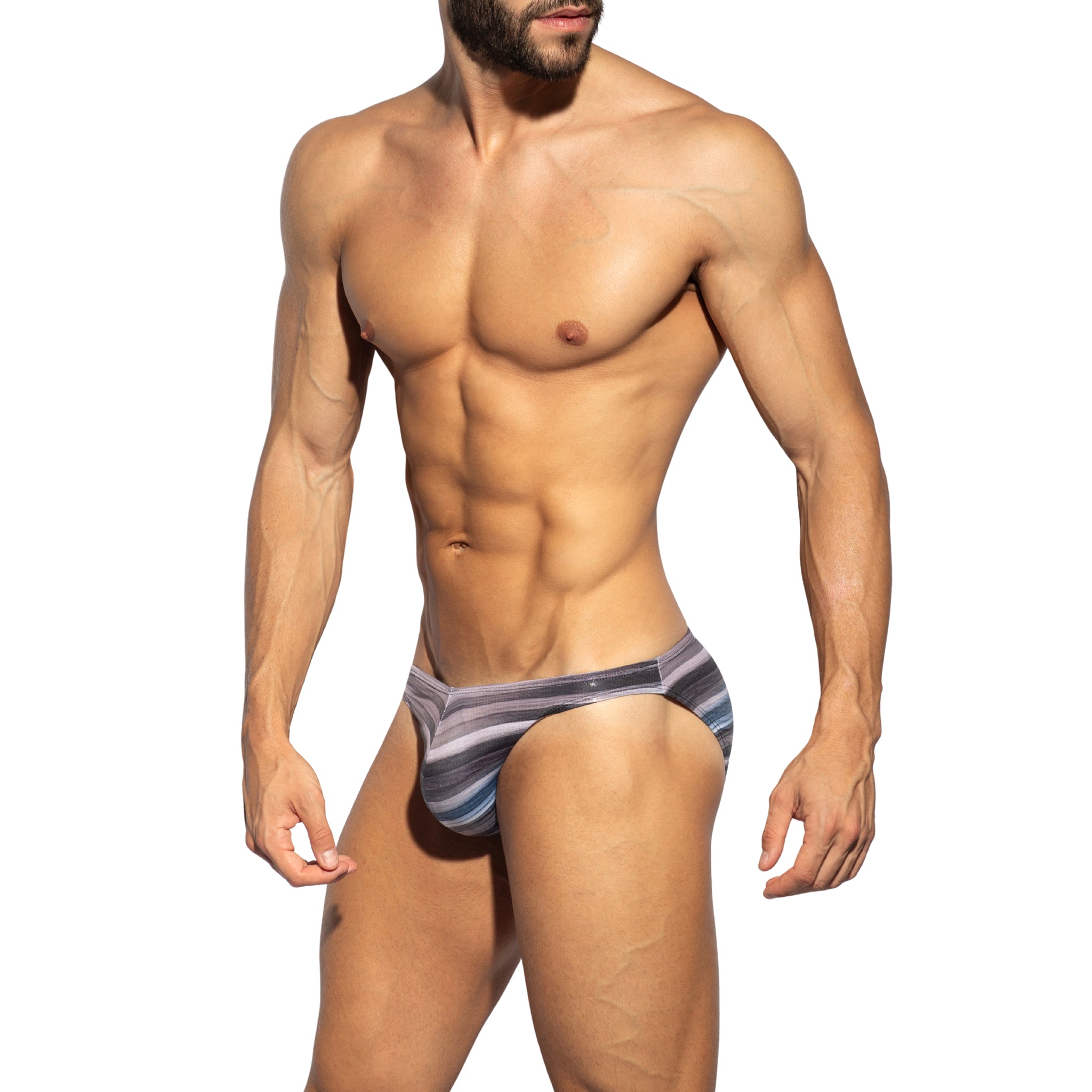 ES Collection Wetlands Bikini Brief Charcoal UN636