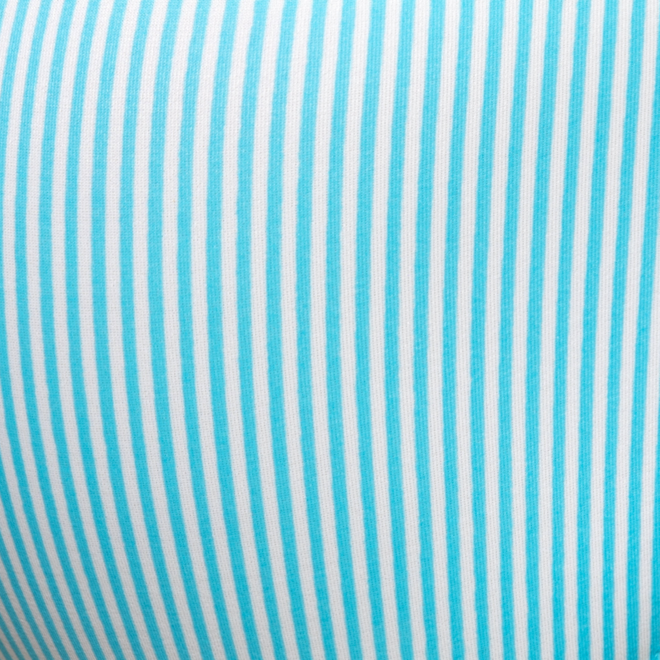 Addicted Baby Stripes Swim Bikini Brief Sky Blue ADS400